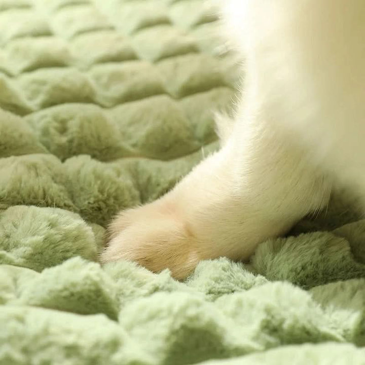 Lisslune | PAWCLOUD - Washable Soft Dog Bed