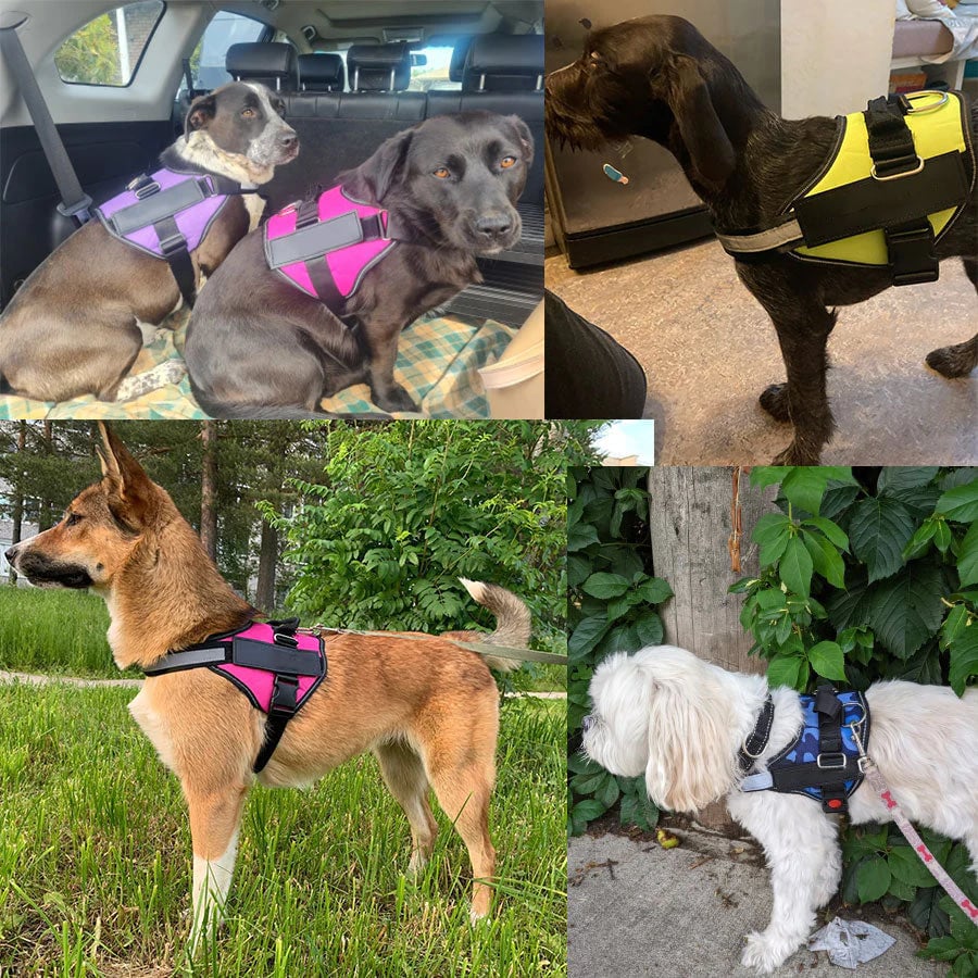 Lisslune | Anti Choke Dog Harness