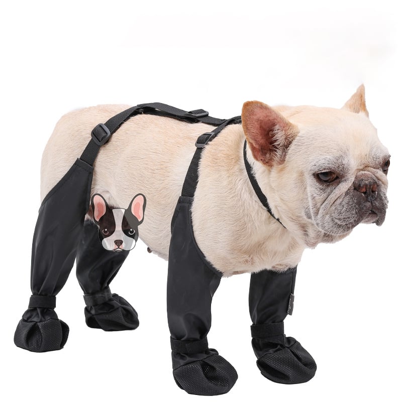 Lisslune | PootShield Dog Boots – Weatherproof Shoes for Every Walk