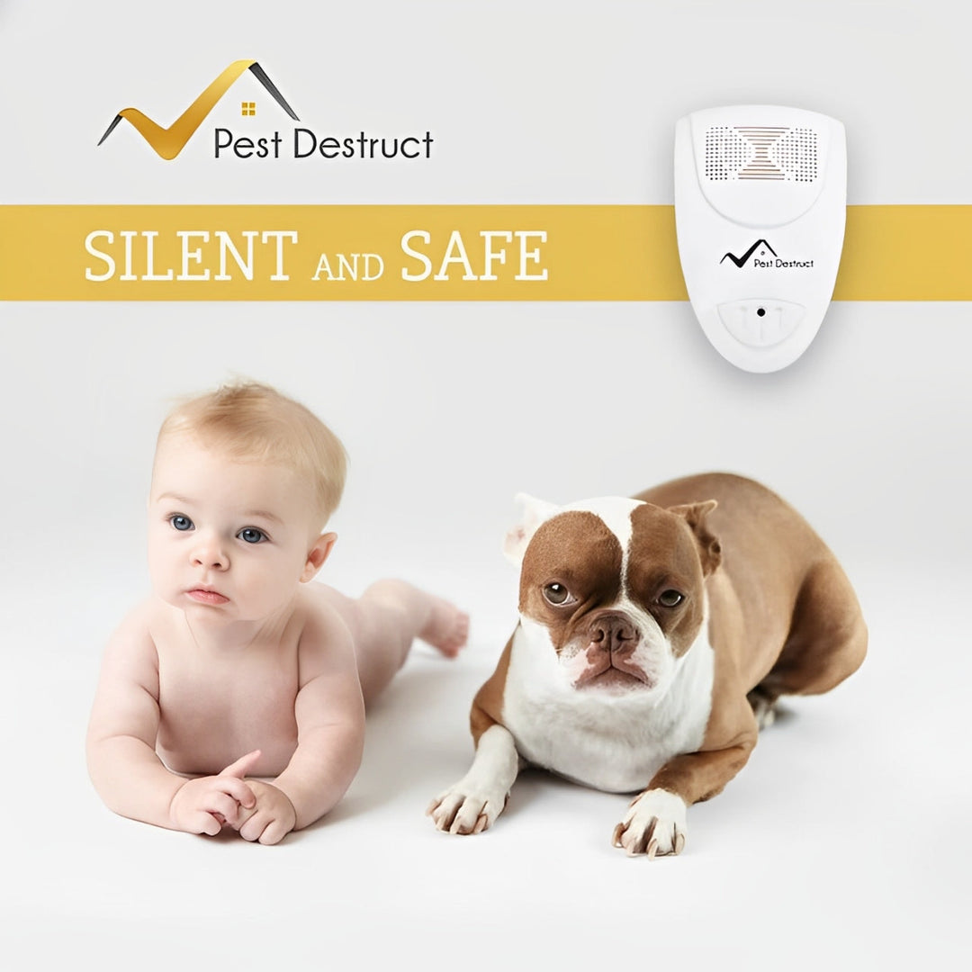 Lisslune | Ultrasonic Bed Bug Repellent – Chemical-Free Device Against Bed Bugs