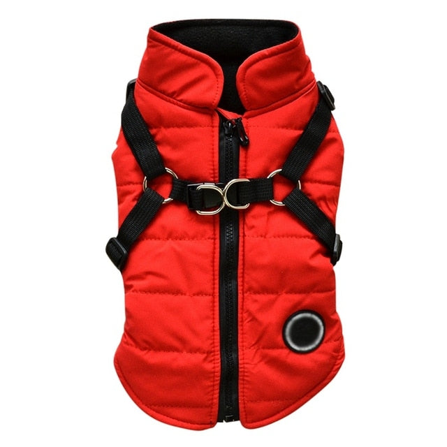 Lisslune | Waterproof pet coat with harness