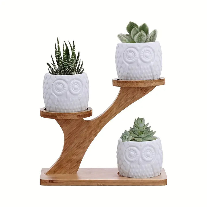 Lisslune | Decorative plant stand made of wood – plant pots in owl design for succulents and indoor plants
