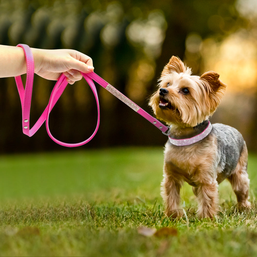 Lisslune | Dog Collar