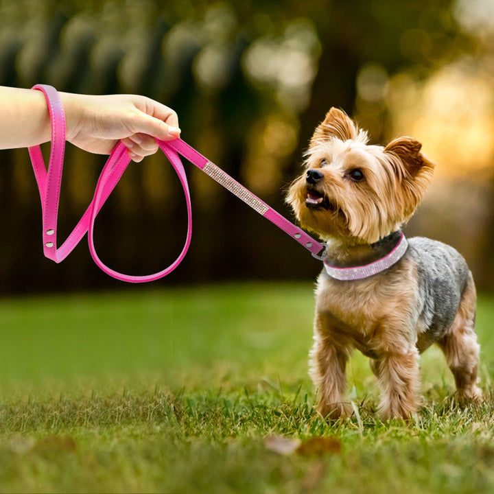 Lisslune | Dog Collar