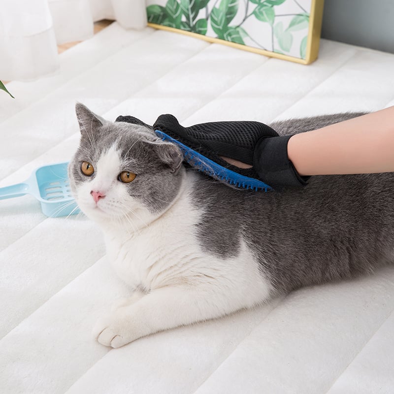 Lisslune | Cat grooming glove for cats wool glove Pet Hair Deshedding Brush Comb Glove For Pet Dog Cleaning Massage Glove For Animal Sale
