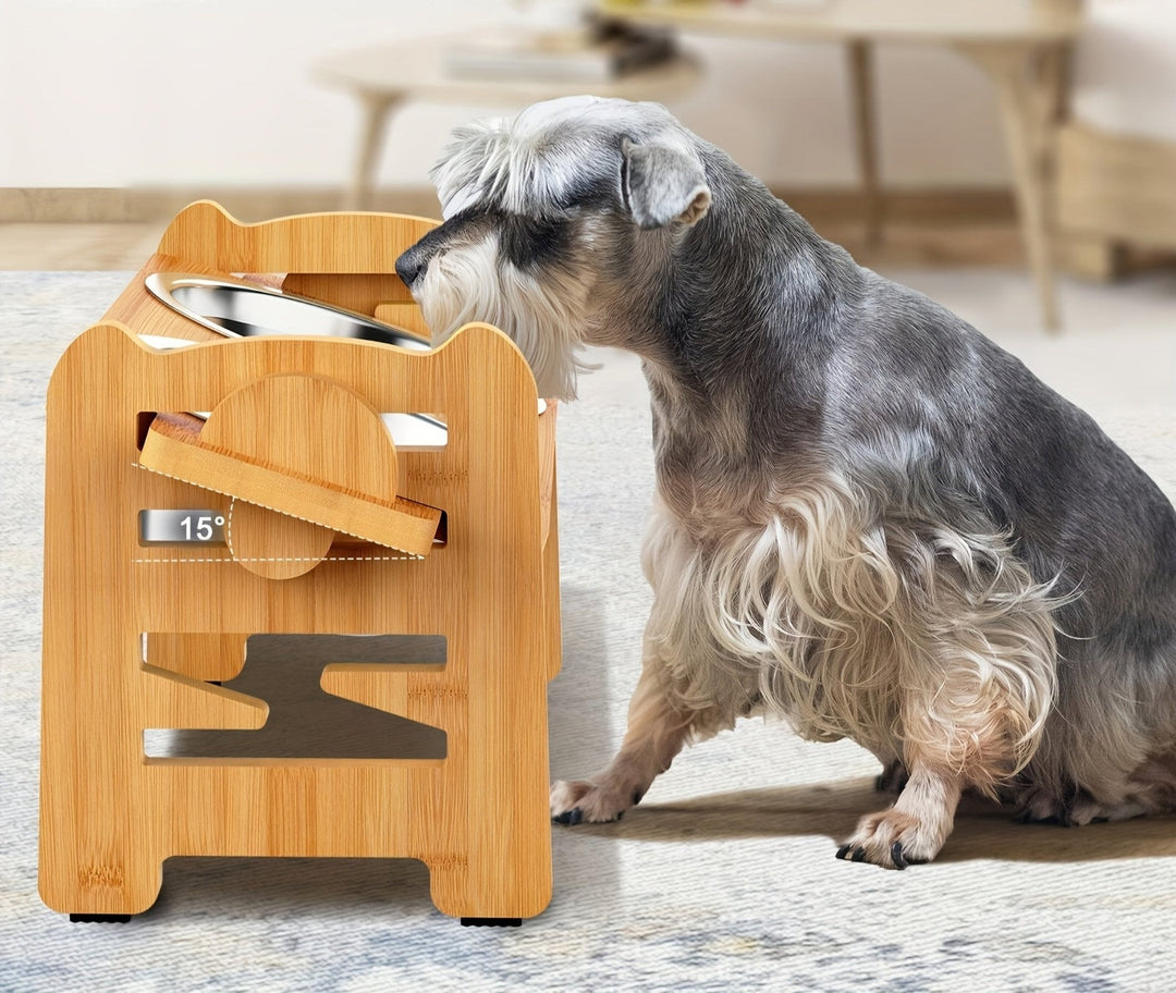Lisslune | Elevated non-slip dog bowl stand with double bowls