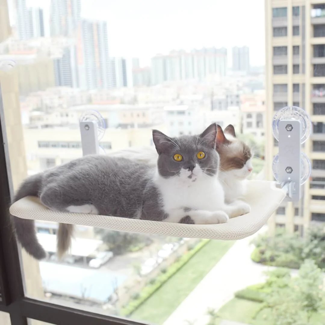 Lisslune | Foldable Cat Hammock Suction Cup Cat Hammock