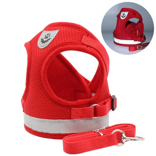 Lisslune | Cat collar and leash