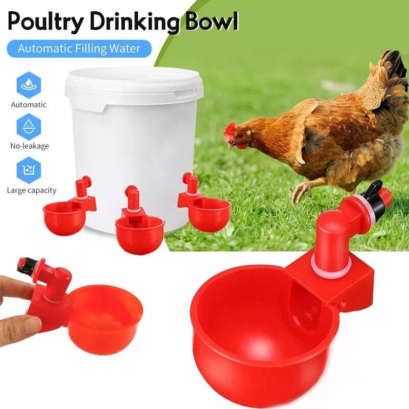 Lisslune | Automatic Chicken Water Cup Bird Coop