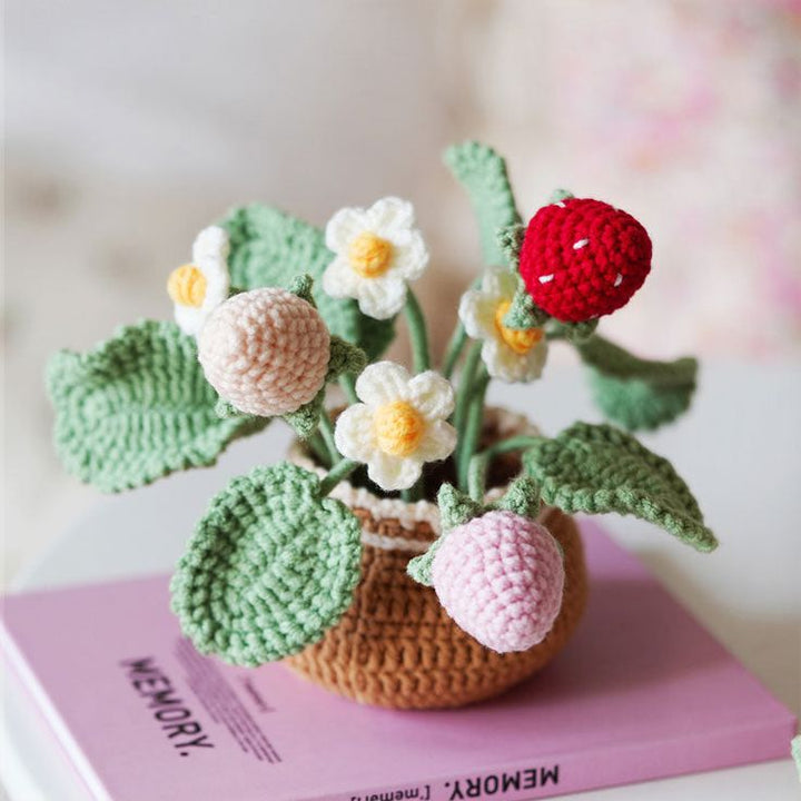 Lisslune | BloomCraft - Decorative flower pots for the elegance of your home