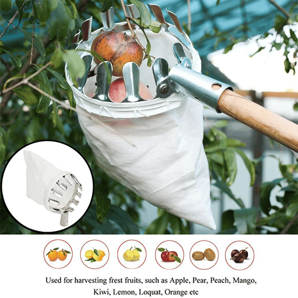Lisslune | Fruit Picker Head Basket