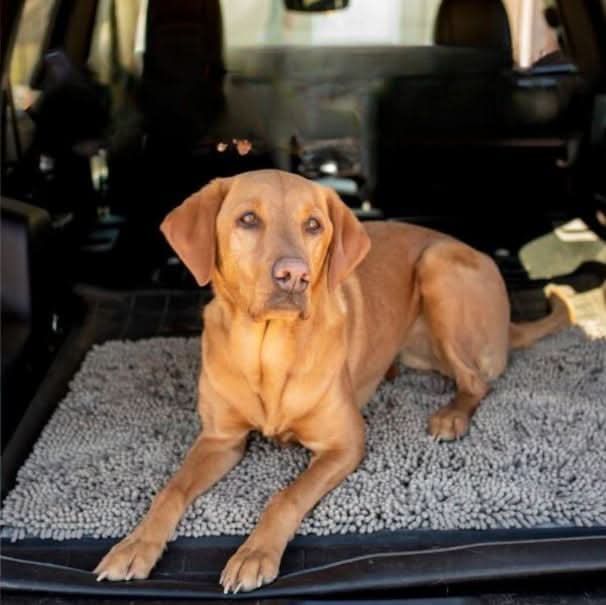 Lisslune | FURLINE - Door mat for dogs