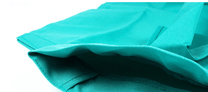 Lisslune | Cat Carry Pouch