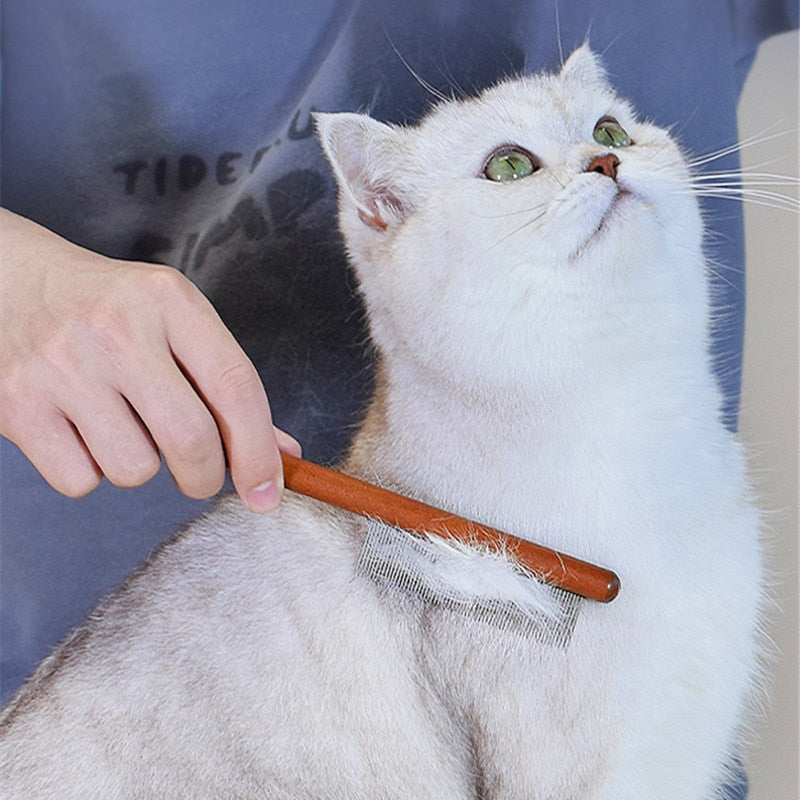 Lisslune | Three Cat Scraper