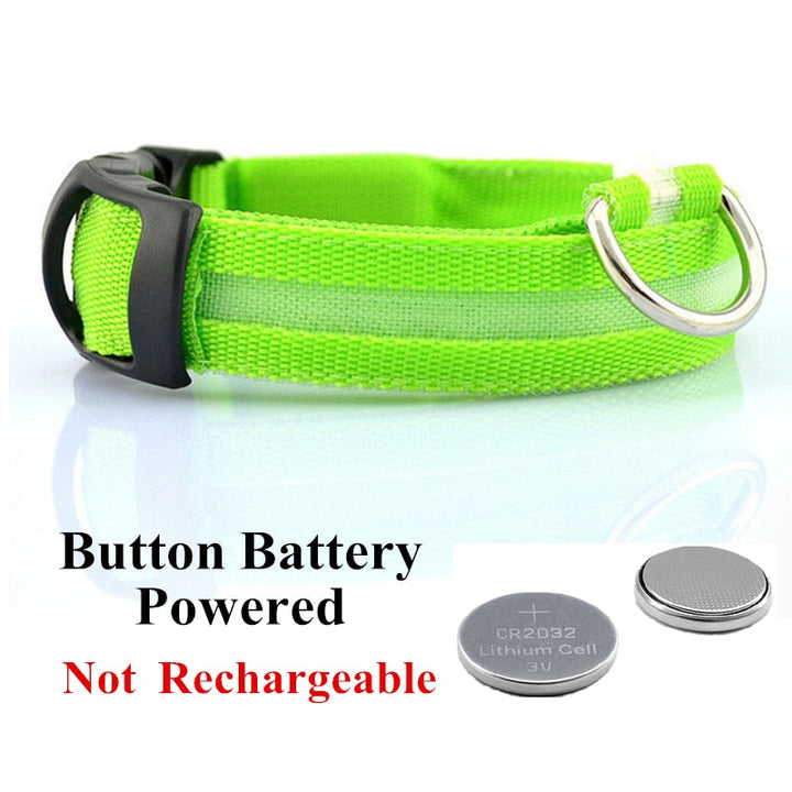 Lisslune | Adjustable LED collar