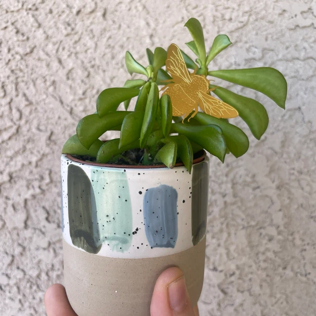 Lisslune | Plant Animal Decorations