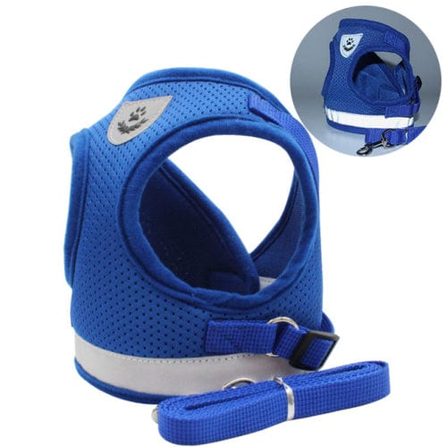 Lisslune | Cat collar and leash