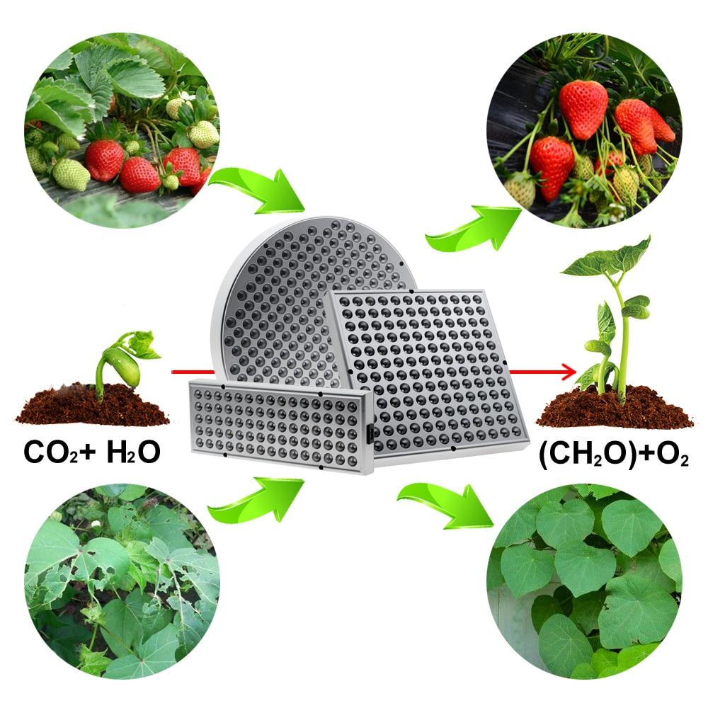 Lisslune | Led Grow Lights - Plant Grow Light