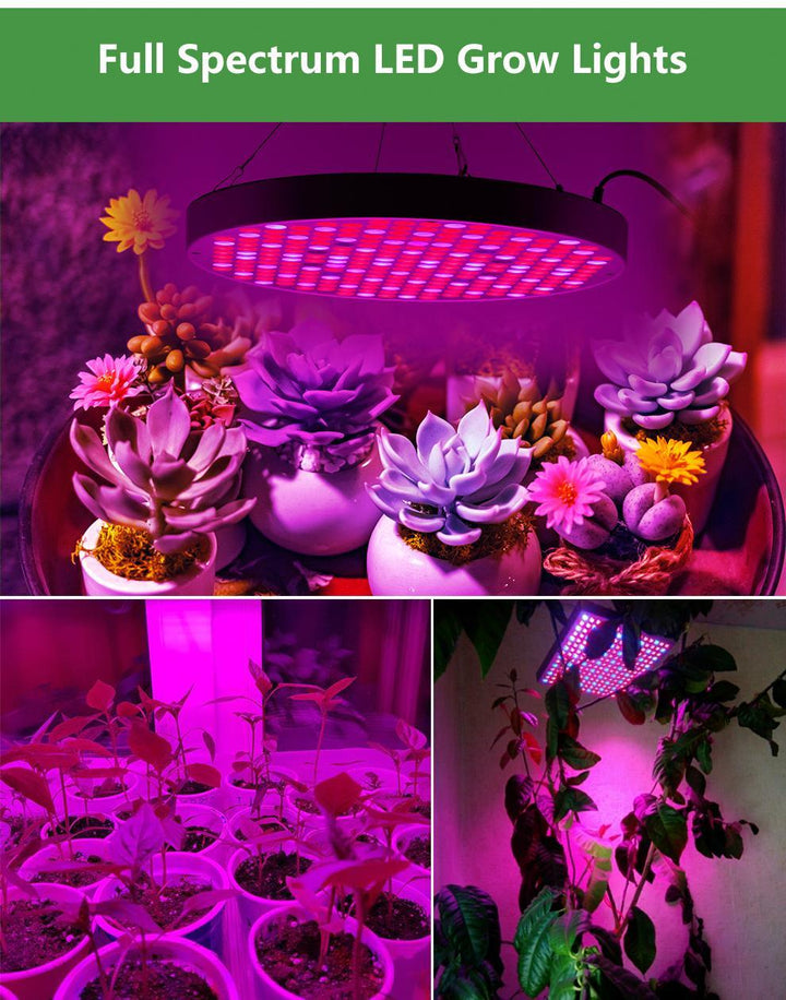 Lisslune | Led Grow Lights - Plant Grow Light
