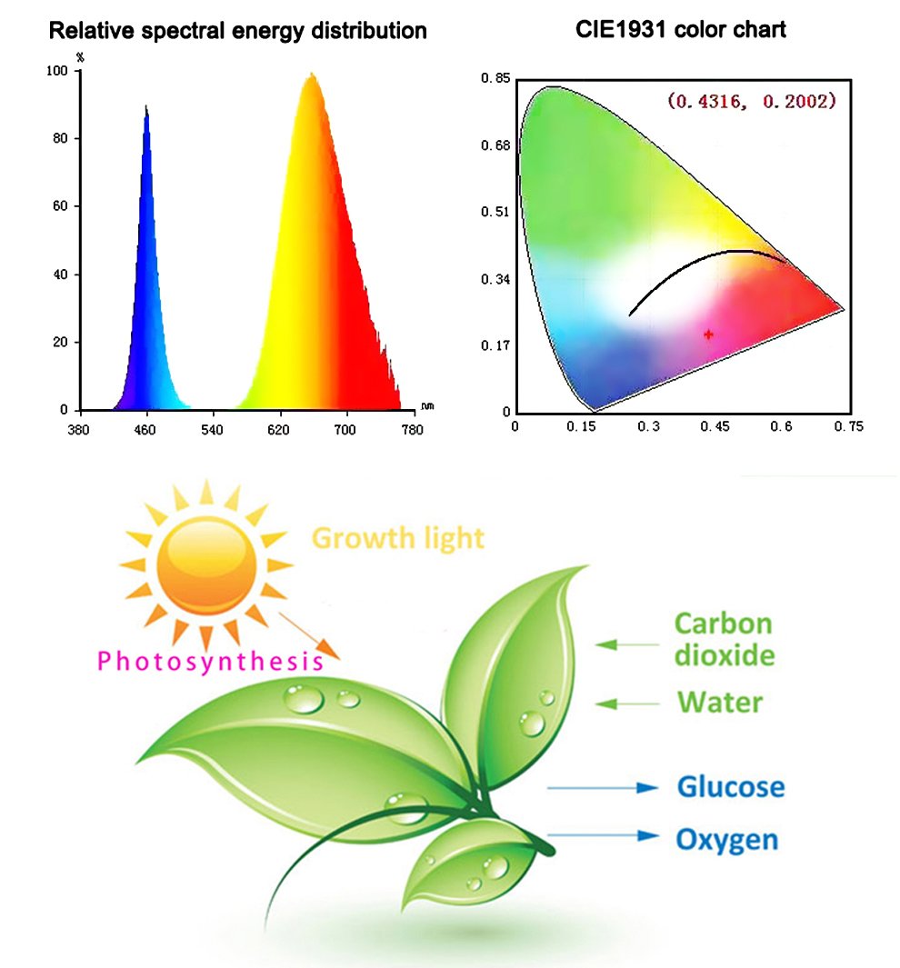 Lisslune | Led Grow Lights - Plant Grow Light