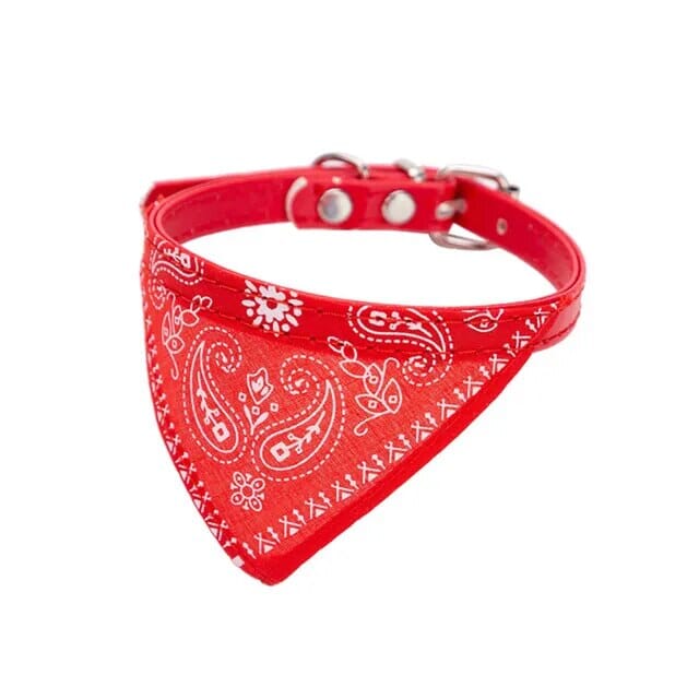 Lisslune | Pet Collar