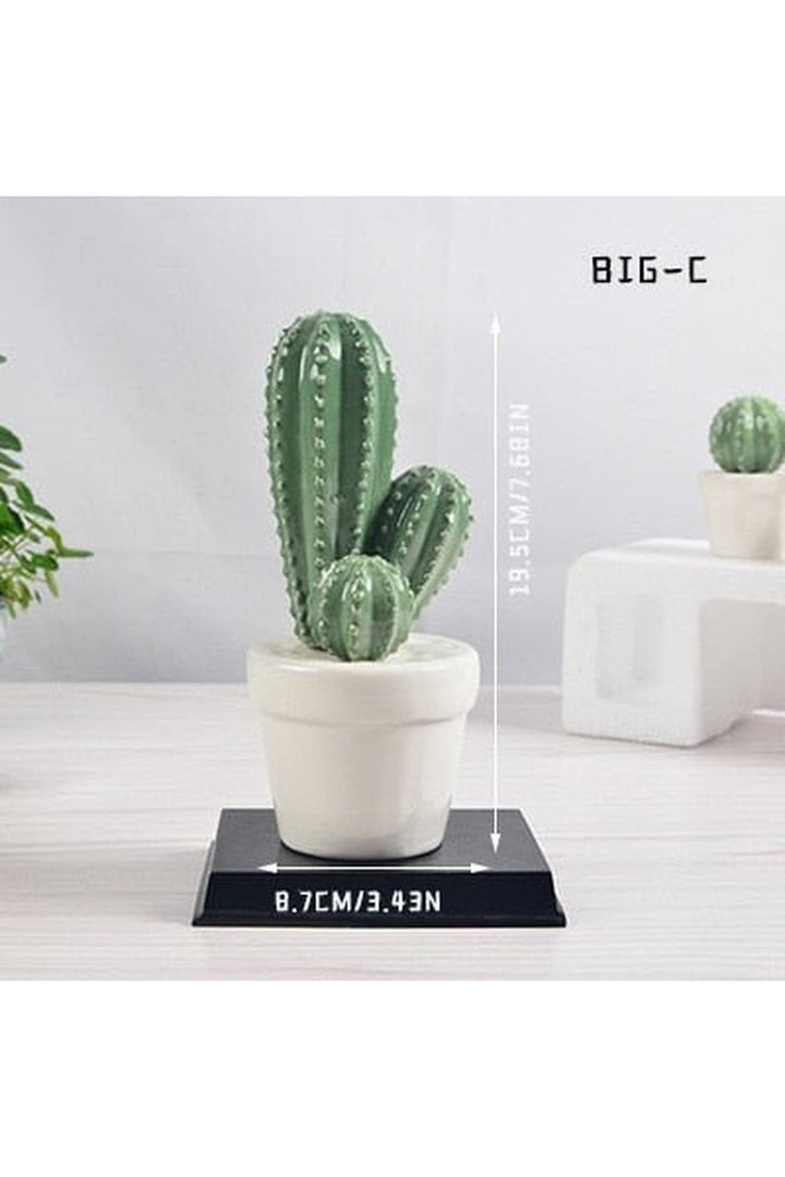 Lisslune | Cactus Decorative Vases