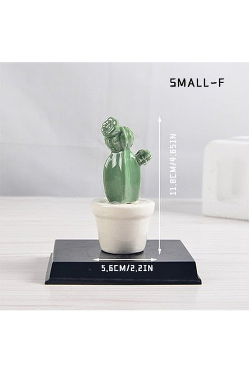 Lisslune | Cactus Decorative Vases