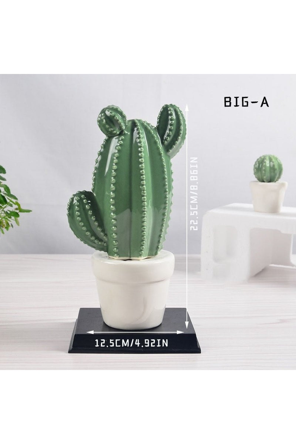Lisslune | Cactus Decorative Vases