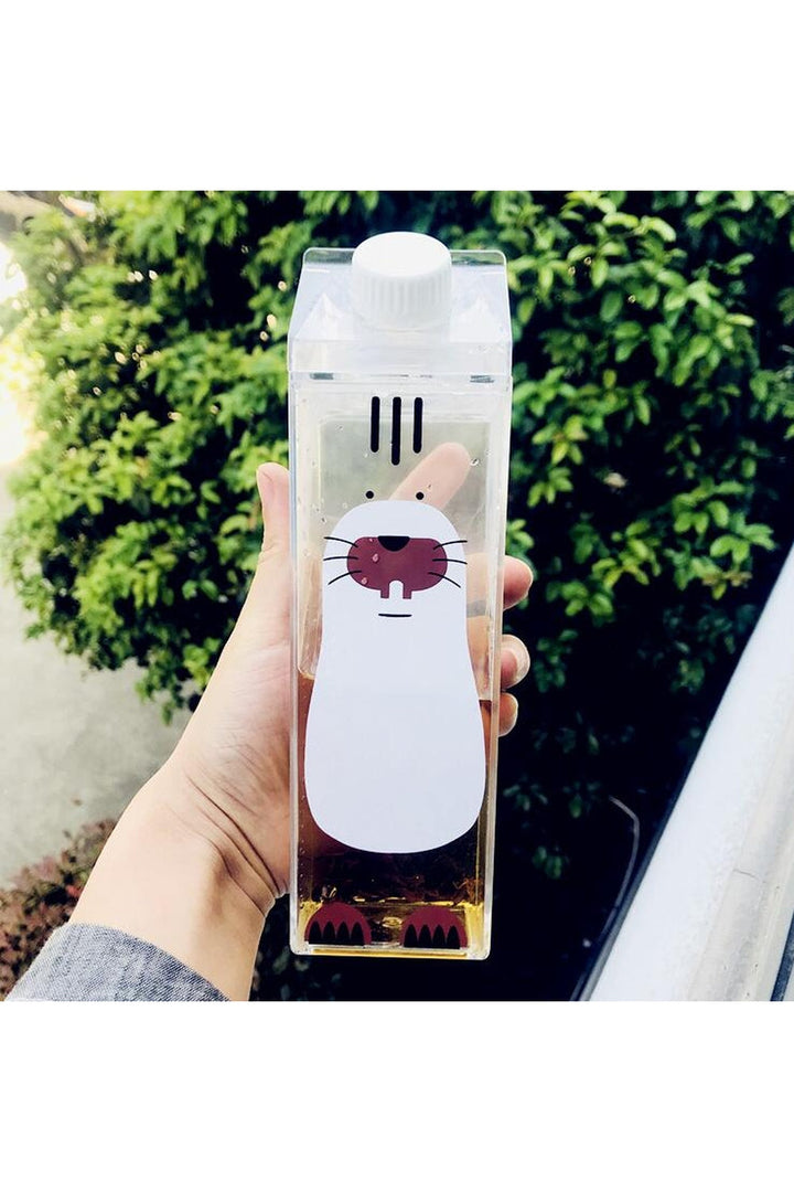 Lisslune | water bottle