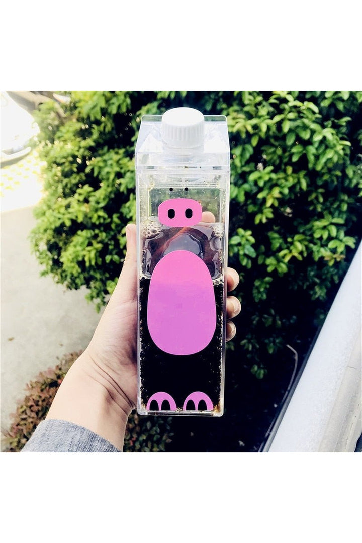 Lisslune | water bottle