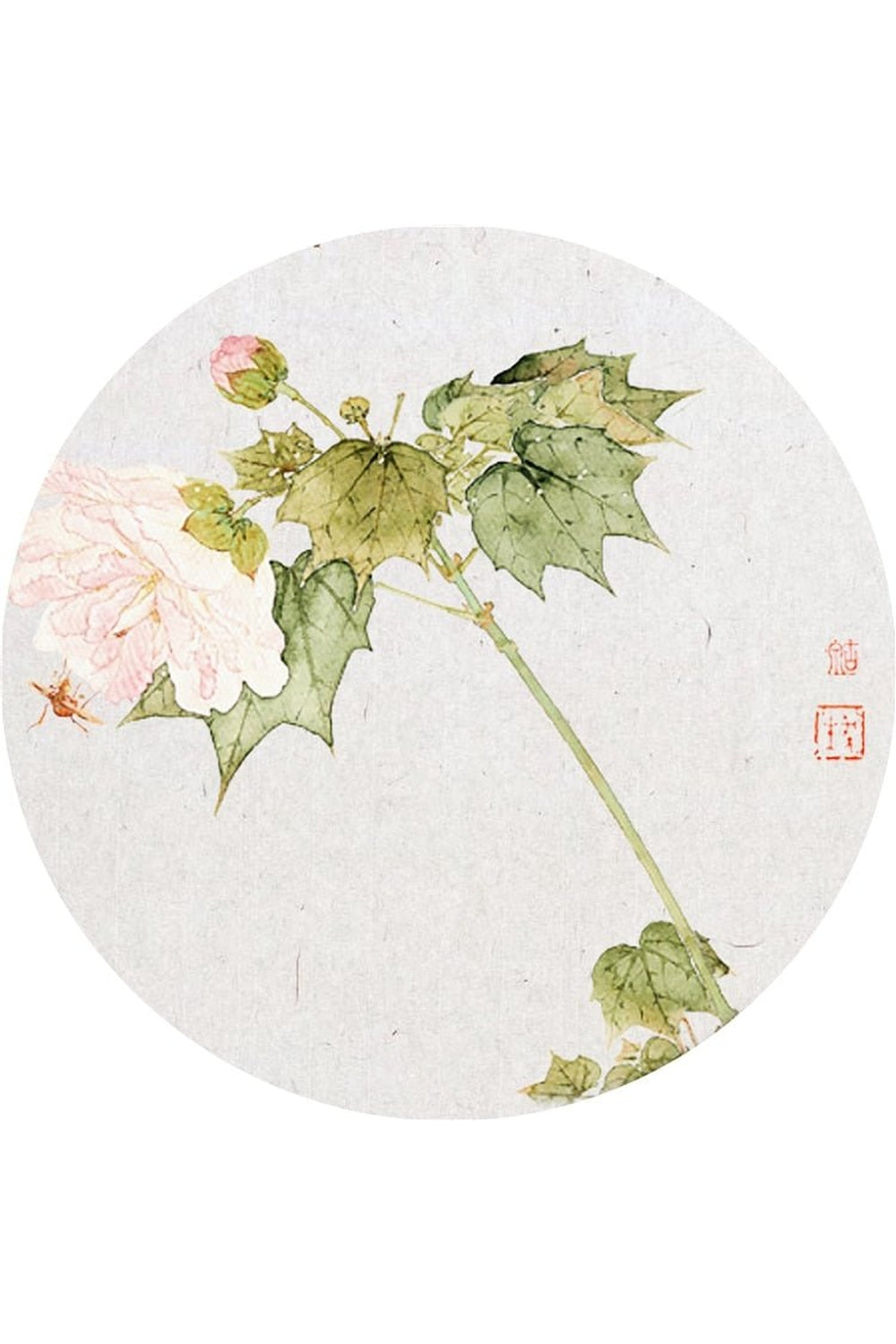 Lisslune | Look Elegant Plate