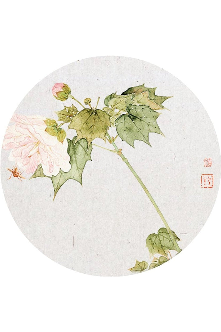 Lisslune | Look Elegant Plate