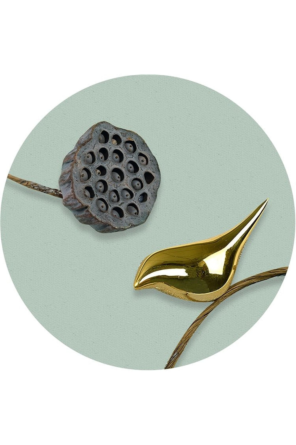 Lisslune | Look Elegant Plate
