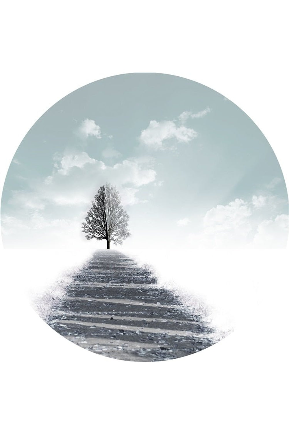 Lisslune | Look Elegant Plate