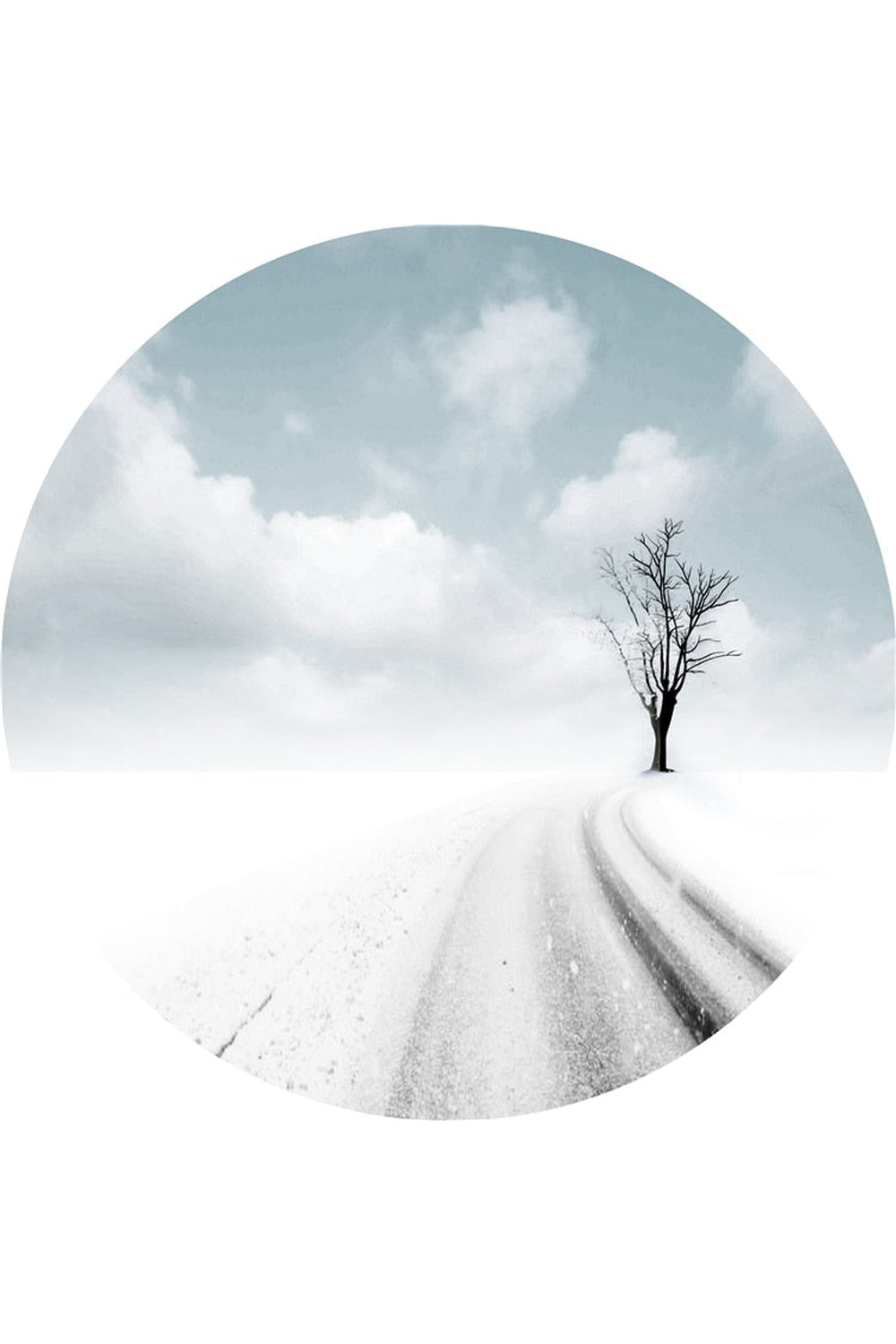 Lisslune | Look Elegant Plate