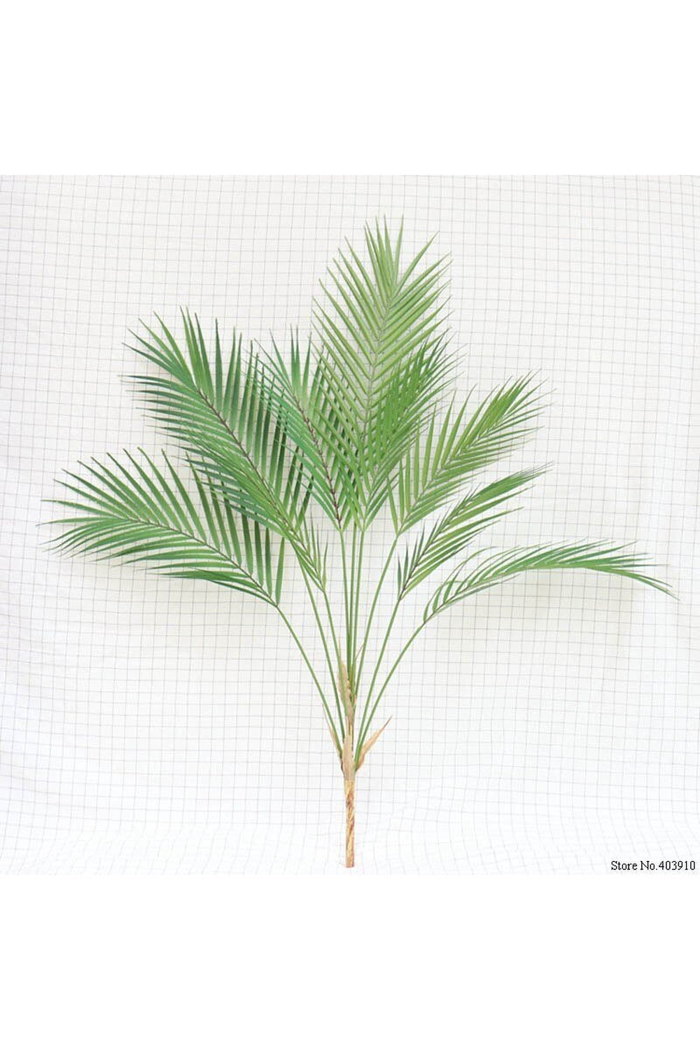 Lisslune | Palm Leaf Decor
