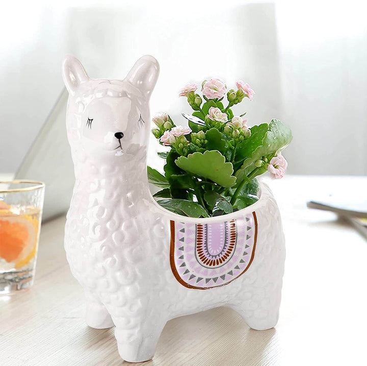 Lisslune | AlpacaSprout - Beautiful alpaca succulent pot for your room