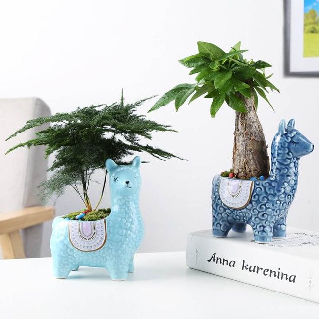 Lisslune | AlpacaSprout - Beautiful alpaca succulent pot for your room
