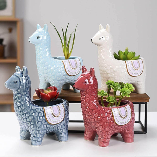 Lisslune | AlpacaSprout - Beautiful alpaca succulent pot for your room