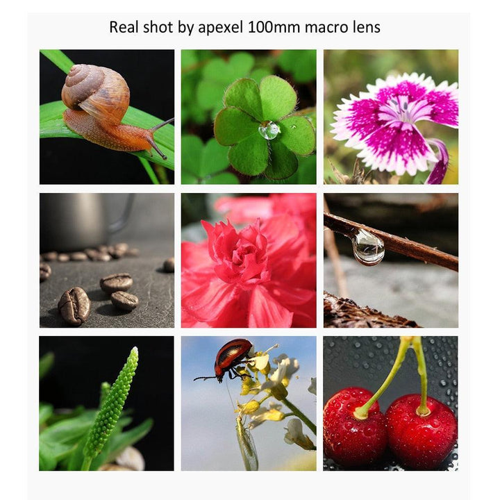 Lisslune | Transform Your Smartphone Photography with Apexel's Elegant Teacup Macro Lens - Unveil the Beauty of Macro Worlds