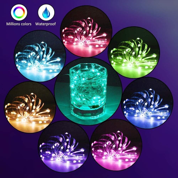 Lisslune | App Control String Lights for Christmas Tree Decoration
