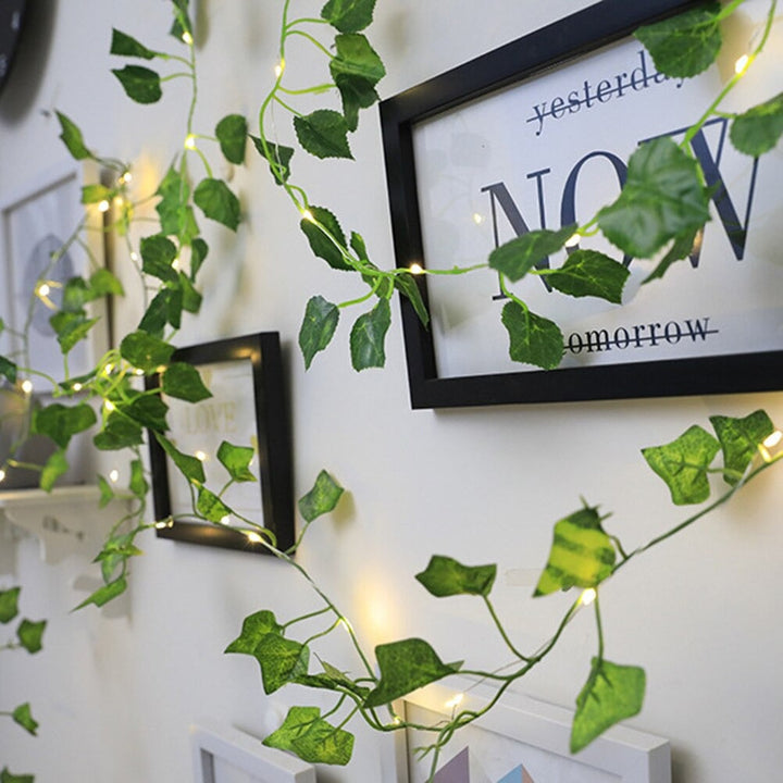 Rynx | Simple Grape Vine String Lights