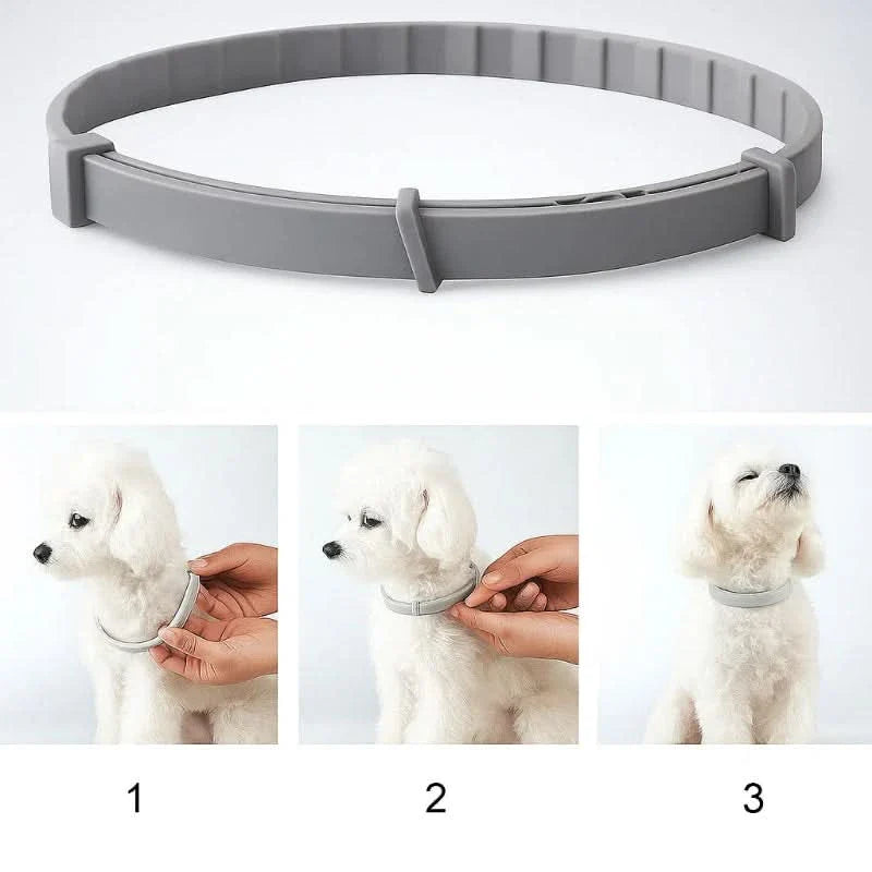 Lisslune | FLASHIELD COLLAR – Herbal flea & tick protection collar for dogs & cats