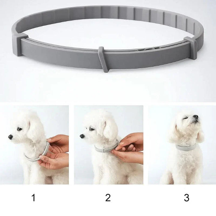 Lisslune | FLASHIELD COLLAR – Herbal flea & tick protection collar for dogs & cats