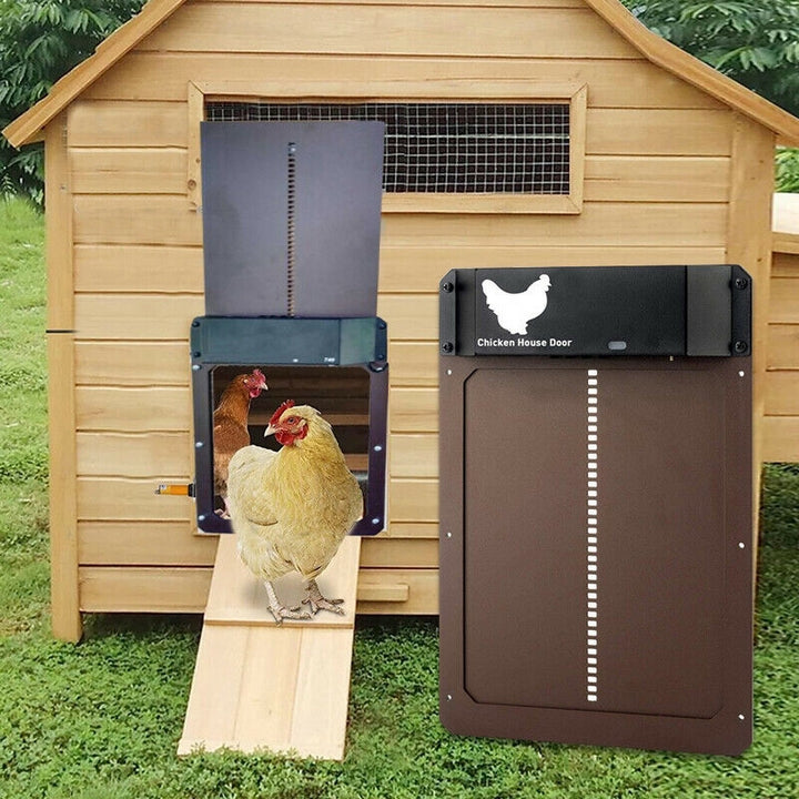 Lisslune | PRO+ | Automatic Chicken Flap