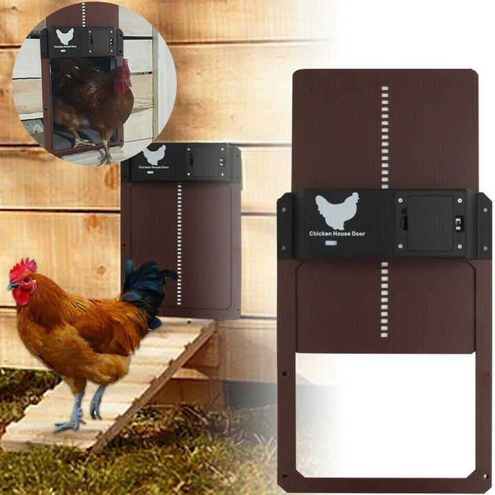 Lisslune | PRO+ | Automatic Chicken Flap