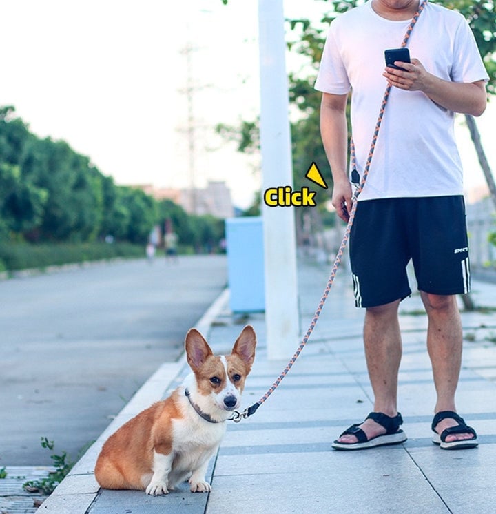 Lisslune | Hands Free Dog Leashes