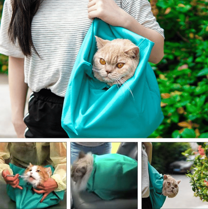 Lisslune | Cat Carry Pouch