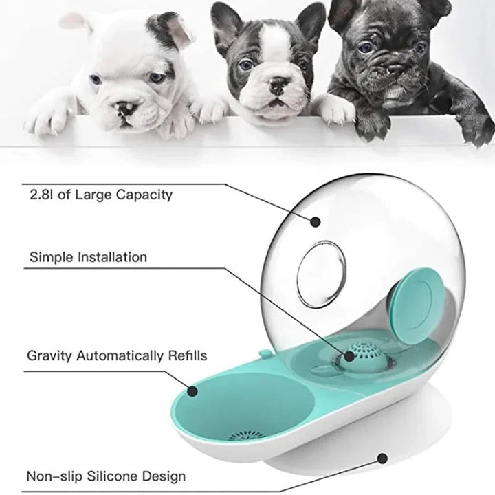 Lisslune | AquaPoes Fountain – Automatic Drinking Fountain for Cats and Dogs with Stainless Steel Reservoir