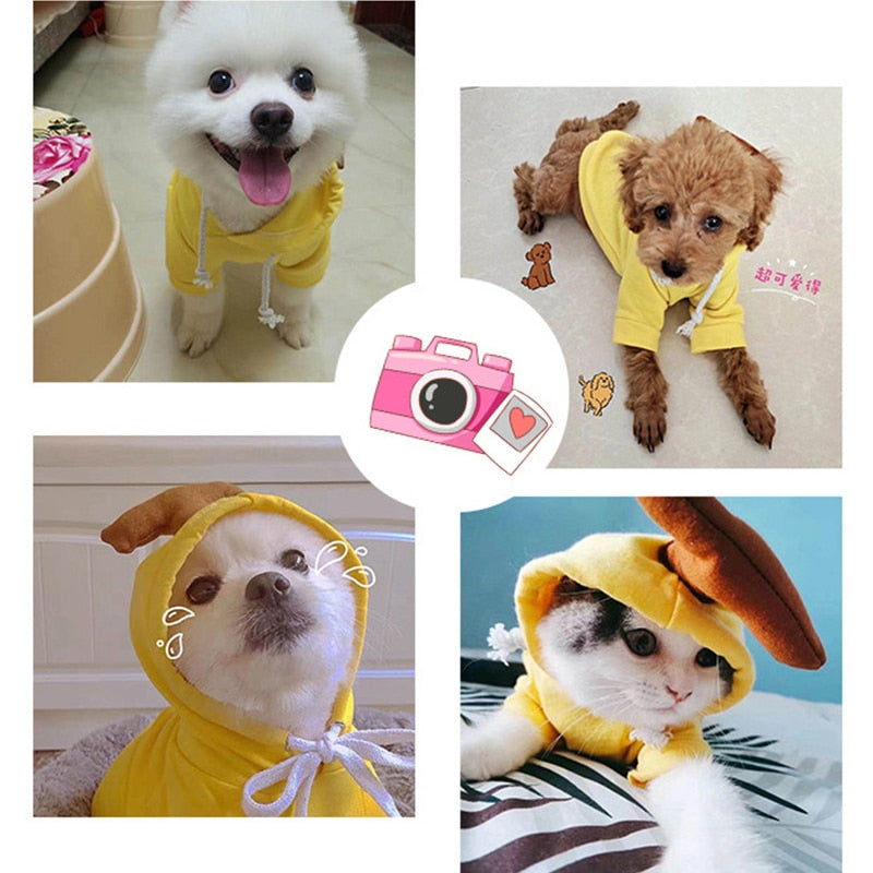 Lisslune | Pet Hoodies